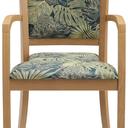 Abbildung Armstoel Mily Vorderansicht