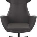 Abbildung fauteuil Dustin Vorderansicht