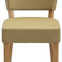 Abbildung stoel Damara Vorderansicht