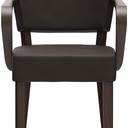 Abbildung Armchair Damara Vorderansicht
