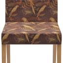 Abbildung stoel Paddy Vorderansicht