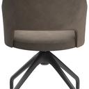 Abbildung Armstoel Liska Rückansicht