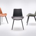 Abbildung Stuhl Segon Ambiente