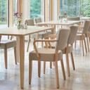 Abbildung Chaise à accoudoirs Damara Ambiente