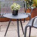 Abbildung Salontafel Afra Ambiente