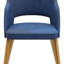 Abbildung Armstoel Liska Vorderansicht