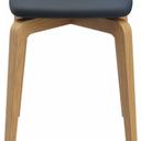 Abbildung Kruk Daya Vorderansicht