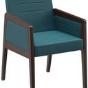 Abbildung Armstoel Paddy Schrägansicht