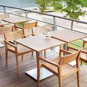 Abbildung arm chair Vitus Ambiente