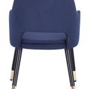 Abbildung Armstoel Liska Rückansicht