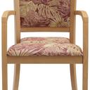 Abbildung Armstoel Mily Vorderansicht