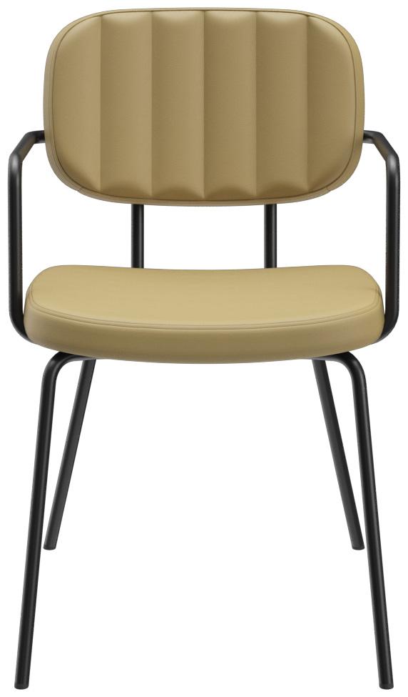 Abbildung Chaise à accoudoirs Vayo Vorderansicht