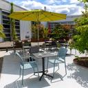 Abbildung arm chair Brigo Ambiente