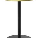 Abbildung Esstisch T12 Slim Seitenansicht