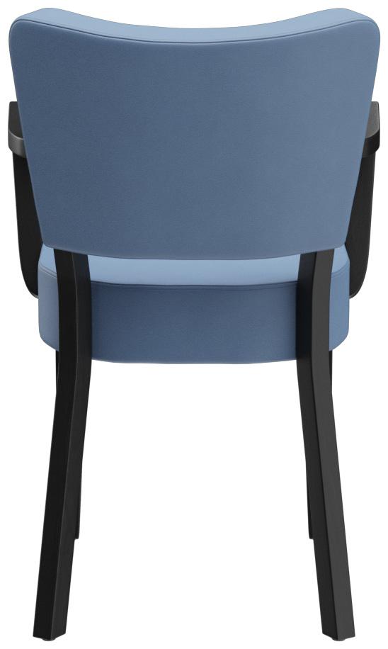 Abbildung Armstoel Damara Rückansicht