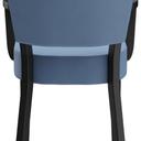 Abbildung Armstoel Damara Rückansicht