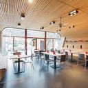 Abbildung chair Paula Ambiente