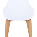 Abbildung chair Roya Vorderansicht