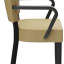 Abbildung Armstoel Damara Seitenansicht