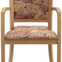 Abbildung Armchair Mily Vorderansicht
