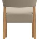 Abbildung stoel Pika Rückansicht