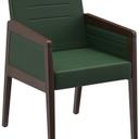 Abbildung Armstoel Paddy Schrägansicht