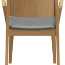 Abbildung Armstoel Quin Rückansicht