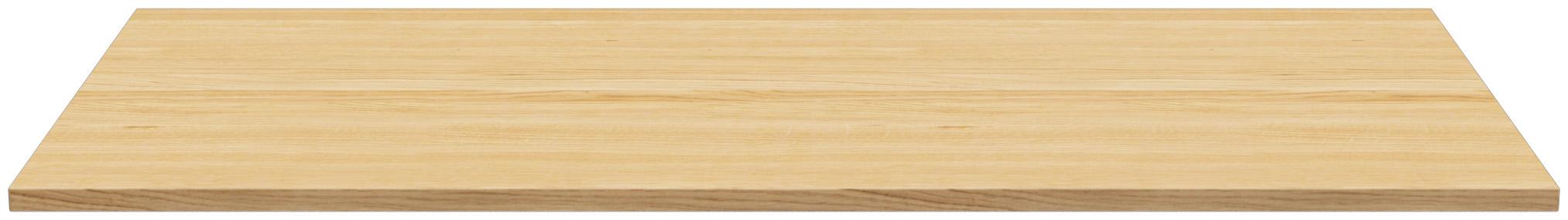 Abbildung Tafelblad Ercus Rückansicht