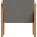 Abbildung Armstoel Paddy Rückansicht