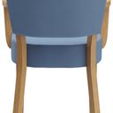 Abbildung Armstoel Damara Rückansicht