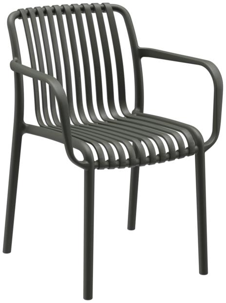 Fauteuil Elexia