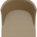 Abbildung stoel Daina