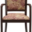 Abbildung Armstoel Mily Vorderansicht