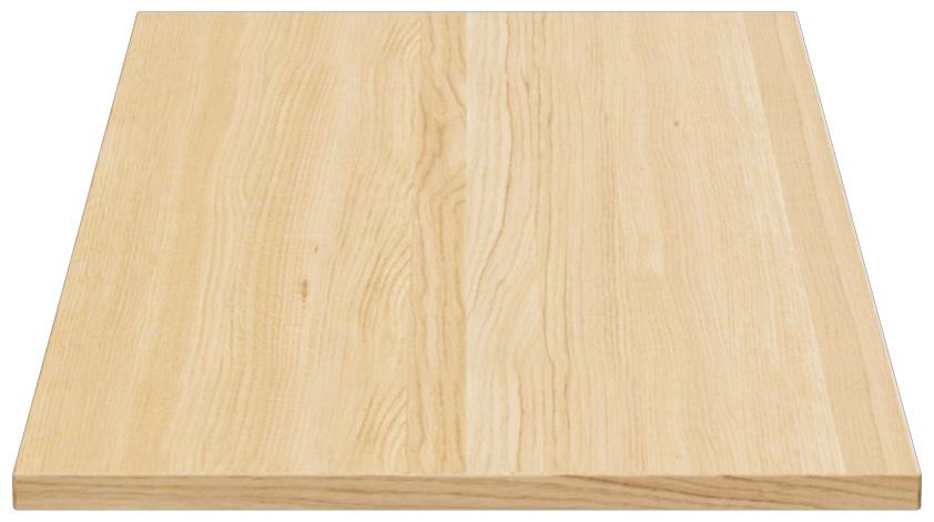 Abbildung Tafelblad Ercus Seitenansicht