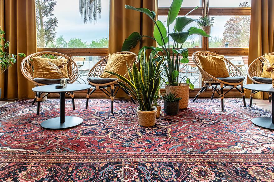 Abbildung armchair Nebi Ambiente