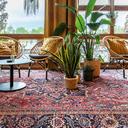 Abbildung armchair Nebi Ambiente