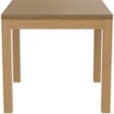 Abbildung dining table Dunia Rückansicht