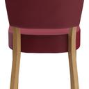 Abbildung chair Damara Rückansicht