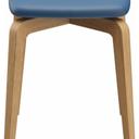 Abbildung Kruk Daya Rückansicht