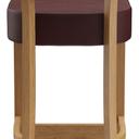 Abbildung Barkruk Damara Rückansicht