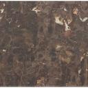 Abbildung Tafelblad Cassius Schrägansicht