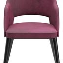 Abbildung Armstoel Liska Vorderansicht