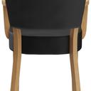 Abbildung Armstoel Damara Rückansicht