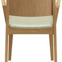 Abbildung Armlehnstuhl Quin Rückansicht