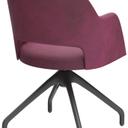 Abbildung Armstoel Liska Schrägansicht