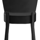 Abbildung stoel Damara Rückansicht