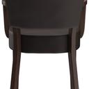 Abbildung Armstoel Damara Rückansicht