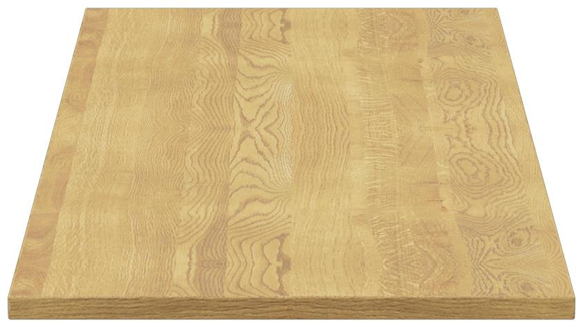 Abbildung Tafelblad Ercus Seitenansicht