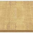 Abbildung Tafelblad Ercus Seitenansicht