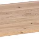 Abbildung Tafelblad Ercus Schrägansicht